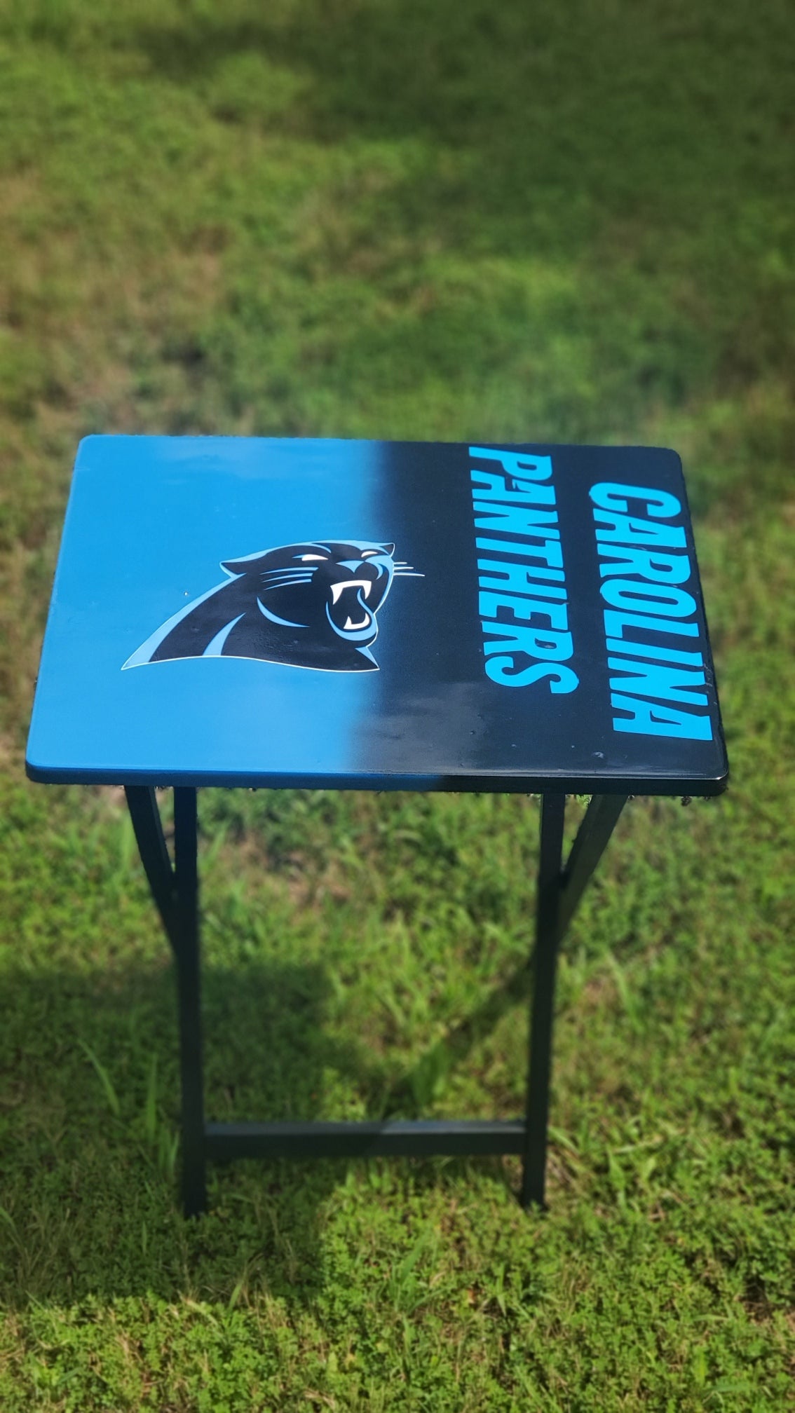 Tray table